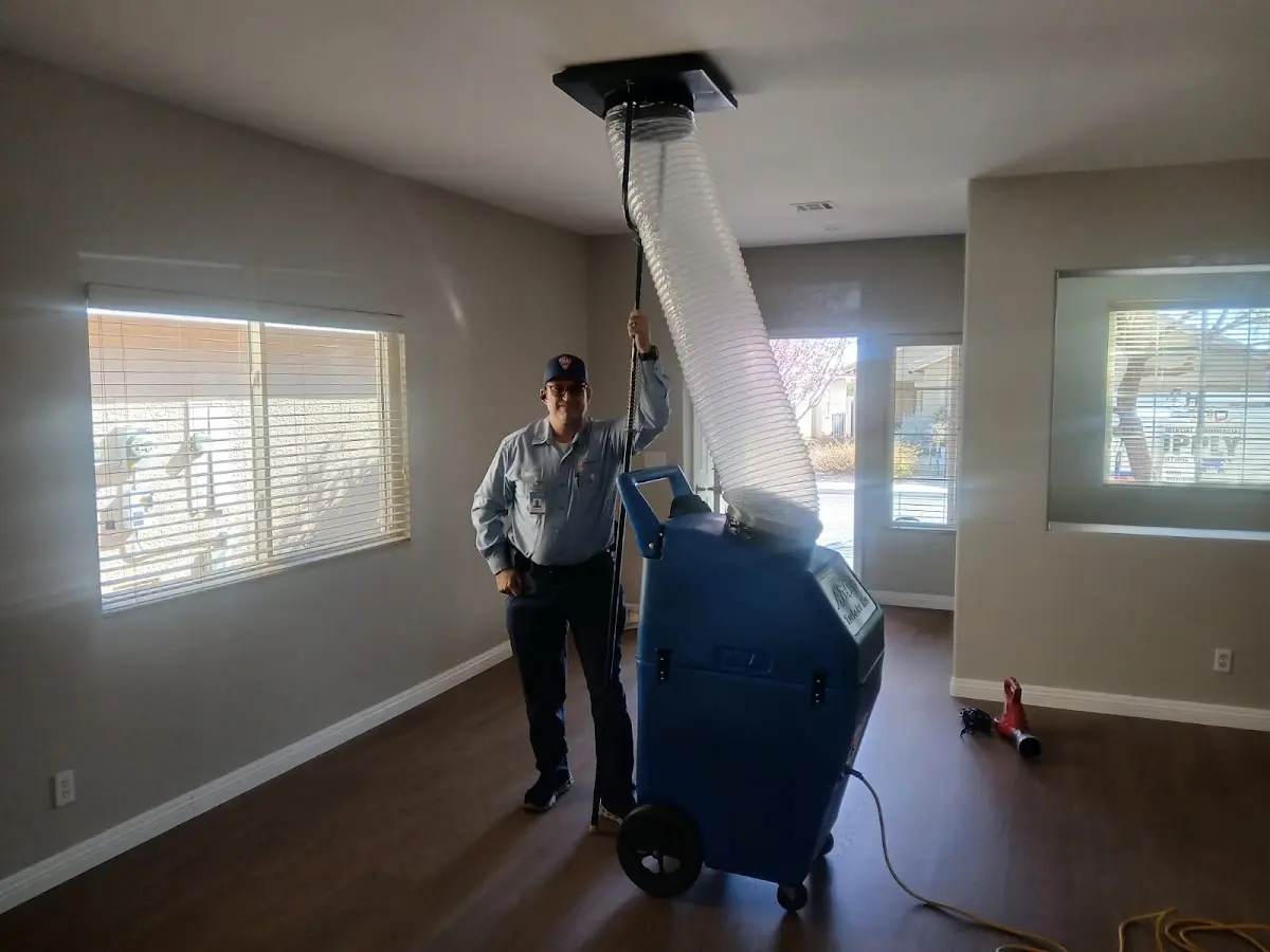 Professional Dryer Vent Cleaning work inside a Green Cove Springs home